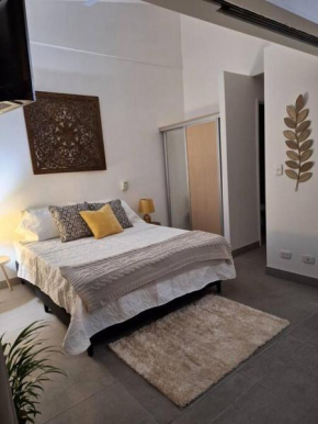 Lindo y céntrico apartamento en Santa Ana
